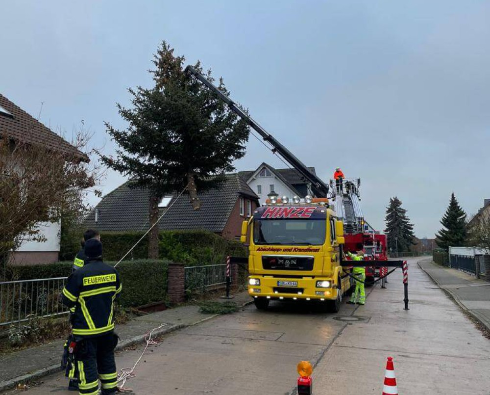 Unser diesjähriger Weihnachtsbaum