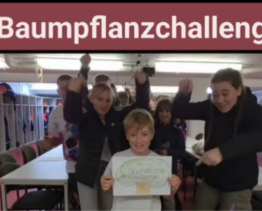 Baumpflanzchallenge