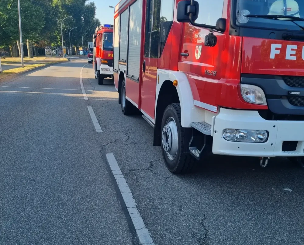 Einsatz 2024 / 292